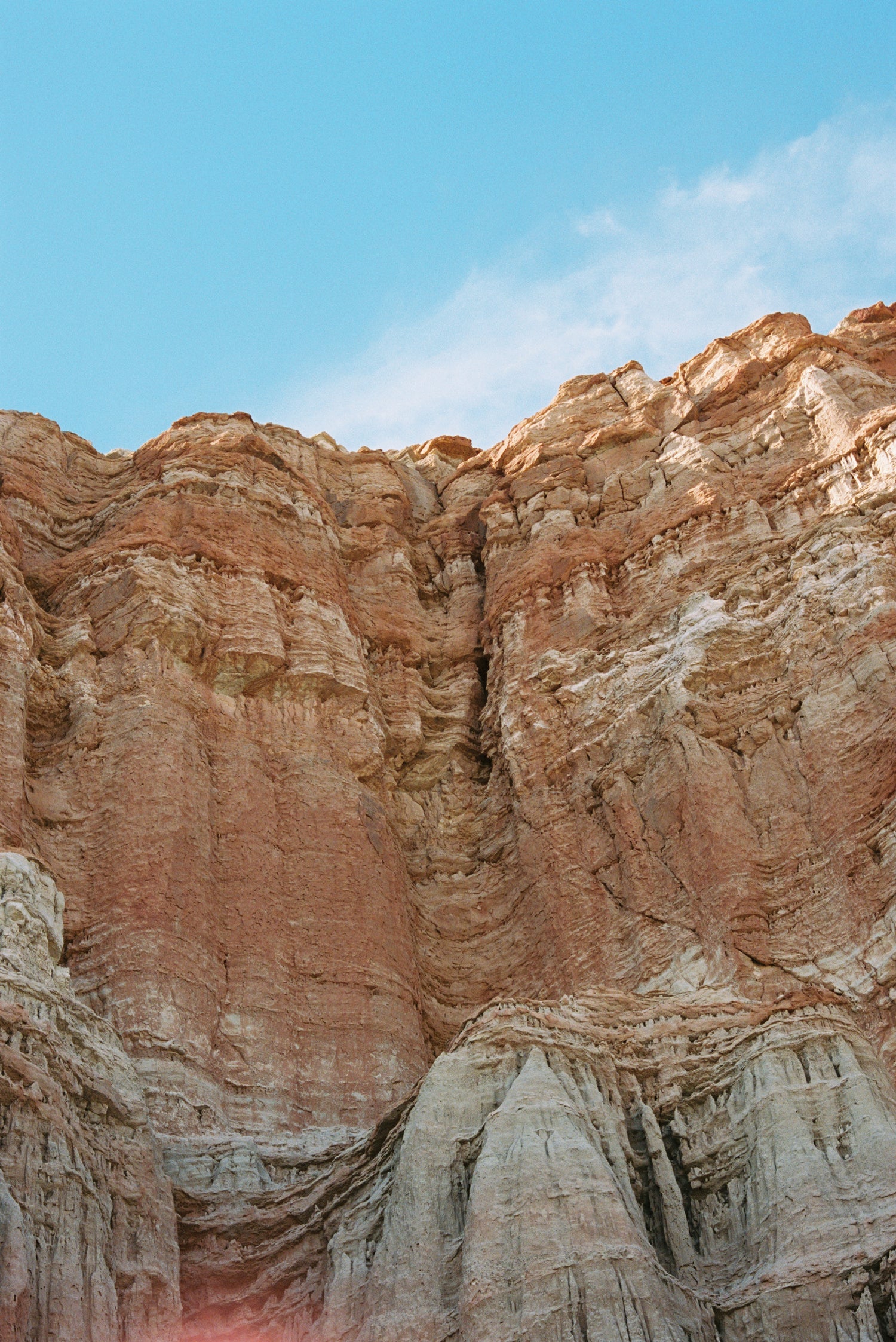 Desert Dwellers: Finding Inspiration in the Mojave