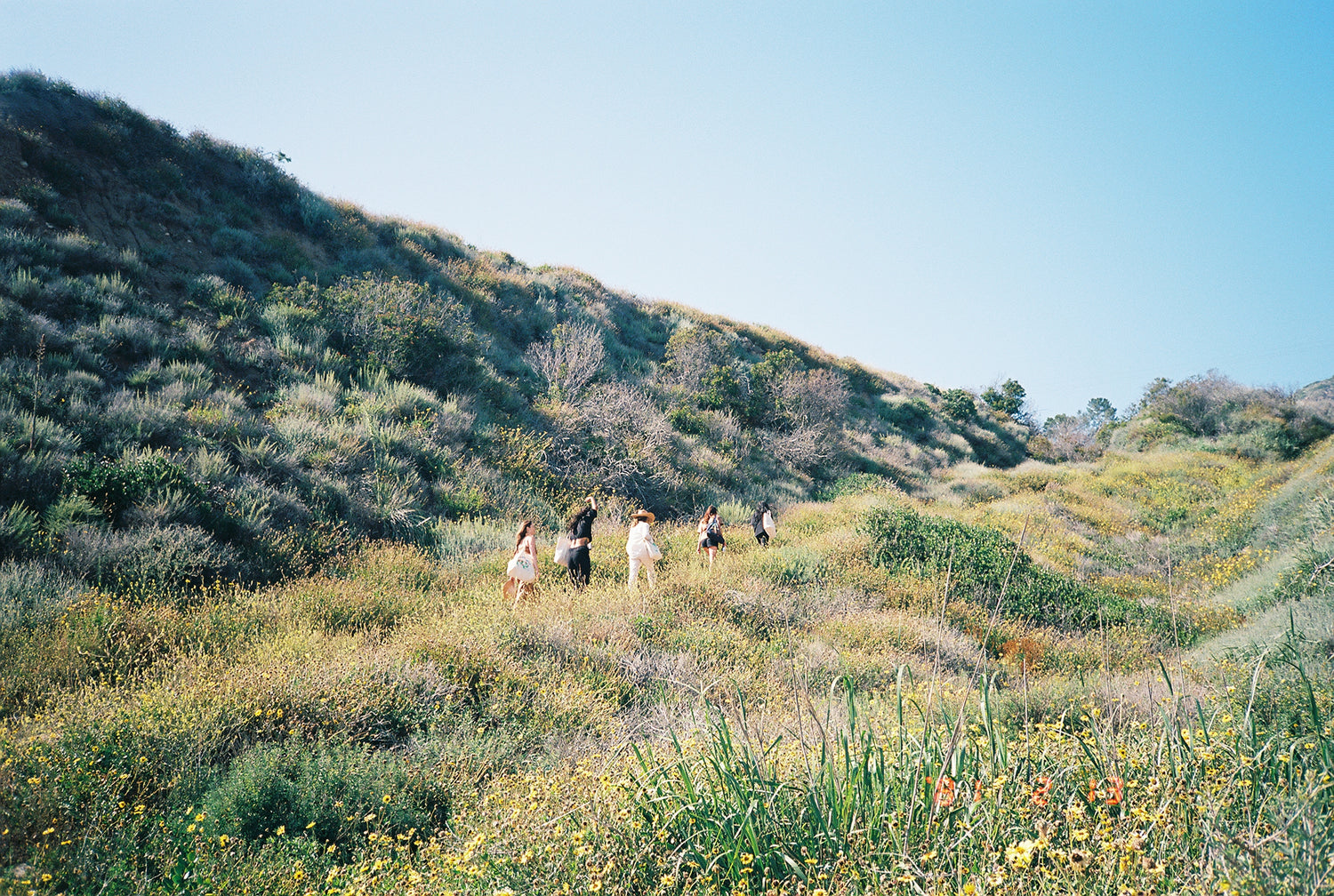 Springtime in Malibu, California